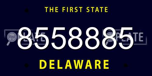 8558885 Delaware License Plate