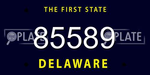 85589 Delaware License Plate