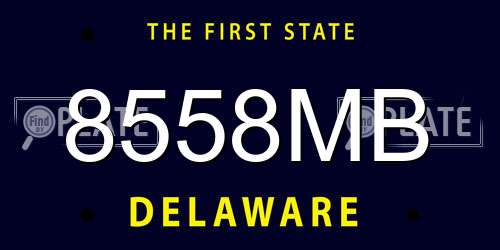 8558MB Delaware License Plate