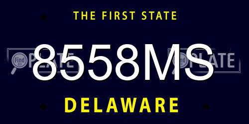 8558MS Delaware License Plate