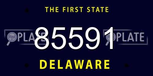 85591 Delaware License Plate