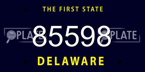 85598 Delaware License Plate
