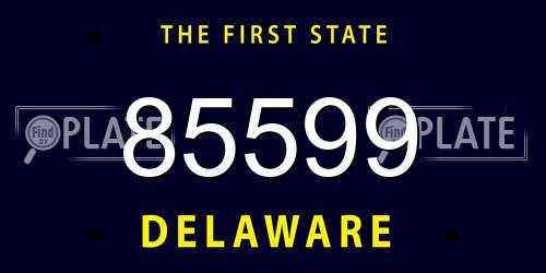 85599 Delaware License Plate