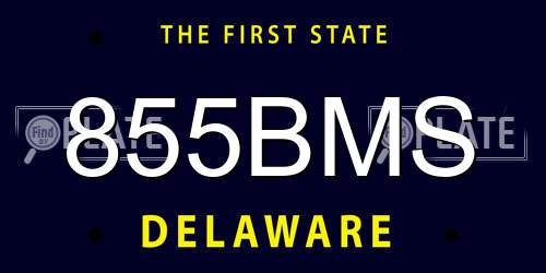 855BMS Delaware License Plate
