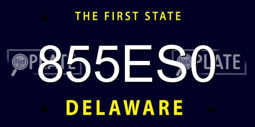 855ES0 Delaware License Plate
