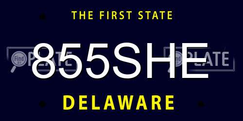 855SHE Delaware License Plate