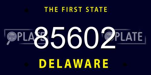 85602 Delaware License Plate