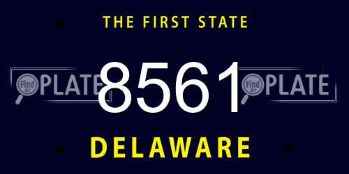 8561 Delaware License Plate