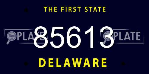 85613 Delaware License Plate