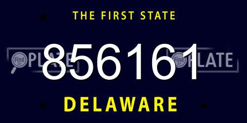 856161 Delaware License Plate