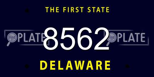 8562 Delaware License Plate