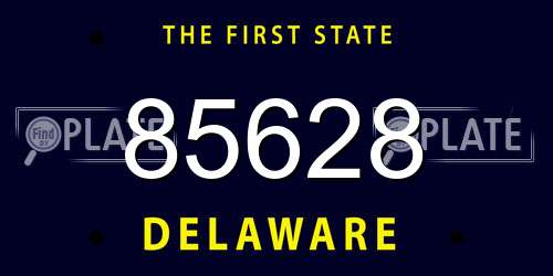 85628 Delaware License Plate