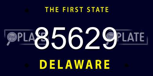 85629 Delaware License Plate