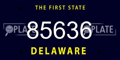 85636 Delaware License Plate