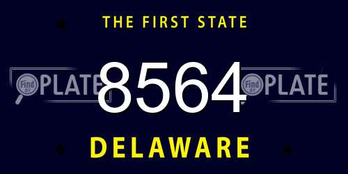 8564 Delaware License Plate
