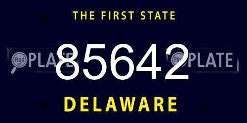 85642 Delaware License Plate