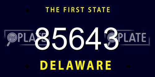 85643 Delaware License Plate