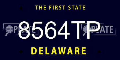 8564TP Delaware License Plate
