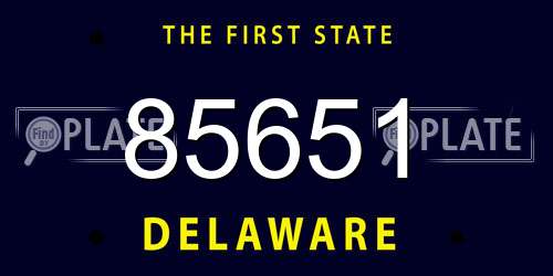 85651 Delaware License Plate