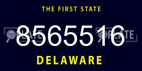 8565516 Delaware License Plate