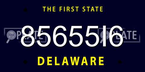 85655I6 Delaware License Plate