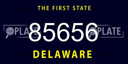 85656 Delaware License Plate