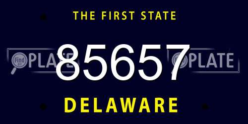 85657 Delaware License Plate