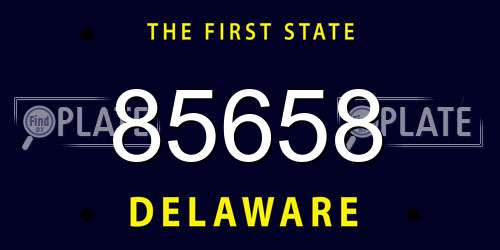 85658 Delaware License Plate