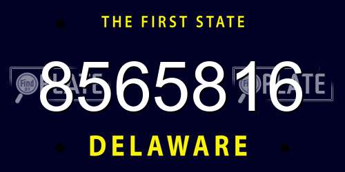 8565816 Delaware License Plate