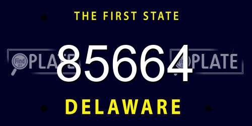 85664 Delaware License Plate