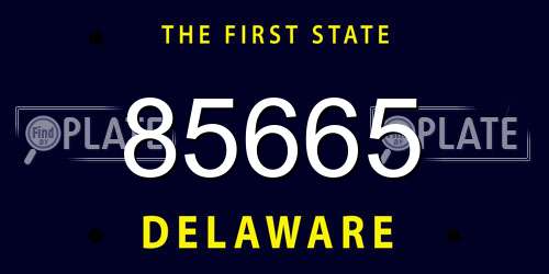 85665 Delaware License Plate