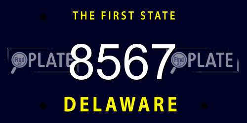 8567 Delaware License Plate