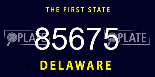 85675 Delaware License Plate