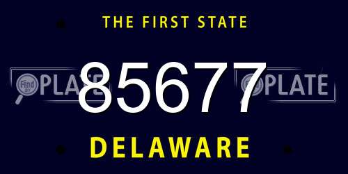 85677 Delaware License Plate