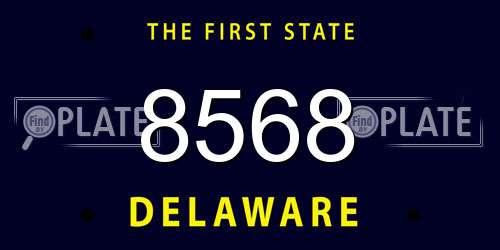 8568 Delaware License Plate