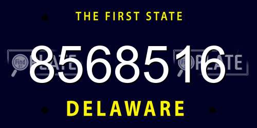 8568516 Delaware License Plate