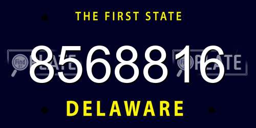 8568816 Delaware License Plate