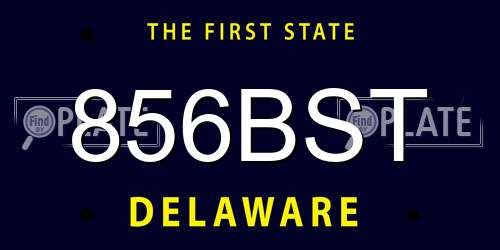 856BST Delaware License Plate