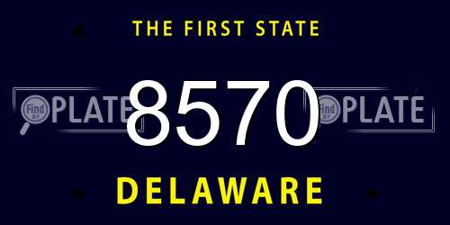 8570 Delaware License Plate