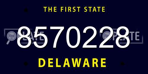 8570228 Delaware License Plate