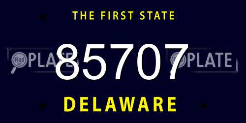 85707 Delaware License Plate