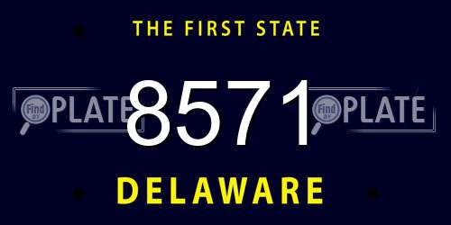 8571 Delaware License Plate