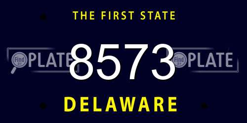 8573 Delaware License Plate