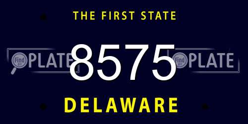 8575 Delaware License Plate