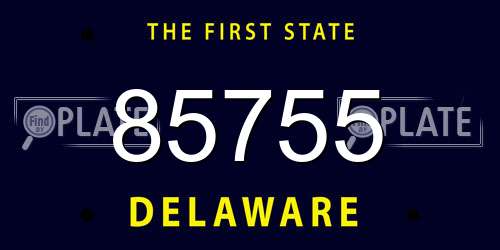 85755 Delaware License Plate