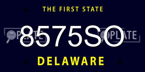 8575SO Delaware License Plate