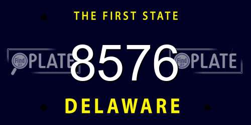8576 Delaware License Plate