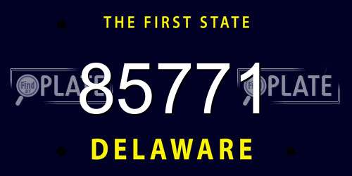 85771 Delaware License Plate