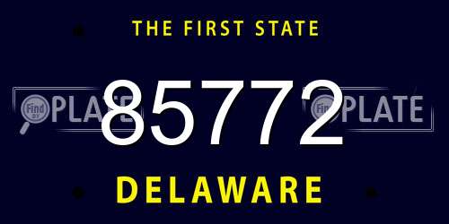 85772 Delaware License Plate