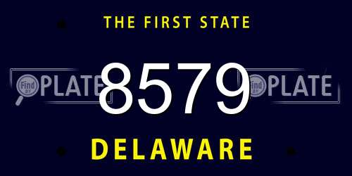 8579 Delaware License Plate